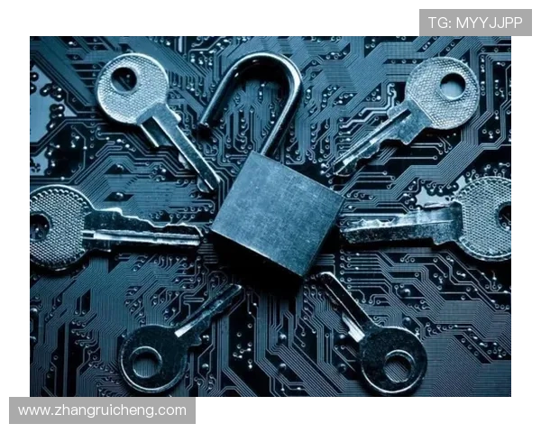 凯发登录入口地址安全验证流程详解,保障您的账户信息安全 凯发登录入口地址安全验证流程详解,保障您的账户信息安全