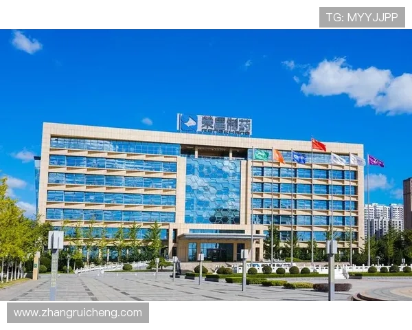 凯发·k8国际(中国)登录首页指南，详细介绍注册流程、账号安全及常见问题解决方案