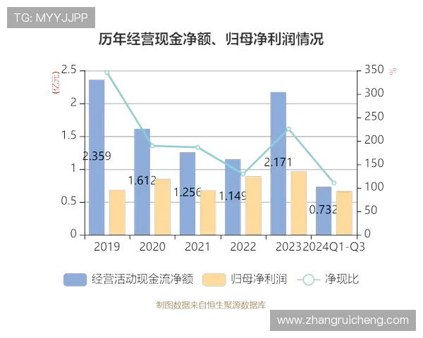 凯发集团怎么样:财务状况与盈利能力的详细评估报告 凯发集团怎么样:财务状况与盈利能力的详细评估报告